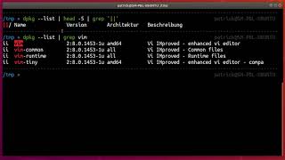 Download the video "How to list the version number of an installed .deb package"