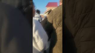 the line to get a Thanksgiving meal