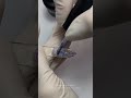 Touch База кольорова Base potal 10, 13 мл