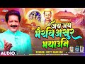 जय जय भै‍रवि असुर भयाउनि Jai Jai Bhairavi Asur Bhayawani Vid