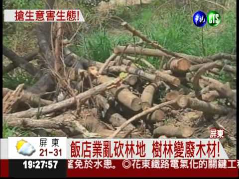 砍棋盤腳丟棄 飯店再毀山坡林!