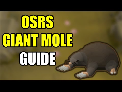 OSRS Giant Mole Guide 2022 (Pet Hunting & Money)