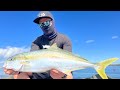 Sydney Botany Bay Kingfish - Daiwa Certate Ark LT 5000