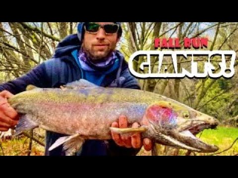 "EPIC" Fall Steelhead & Salmon Fishing!