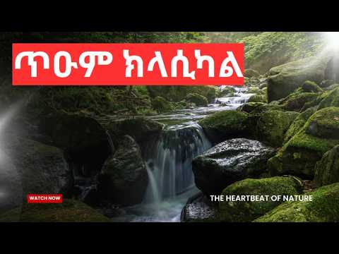 ZieMa ዜማ Records and Adulis EastAfro Production