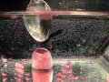 Hydrophobic Sand Underwater 