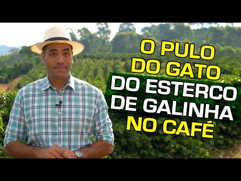 O Que Tem no Esterco de Galinha? Quais as Alternativas? | No Pé do Café