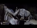 Wildebeest Feeding
