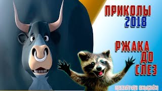 Самые лучшие приколы 2018 Сборка смешных моментов из жизни.