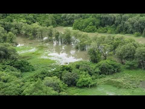 luciano hortencio - NAS PALMAS DA CARNAÚBA - Antônio Gondim - Pierre Luz
