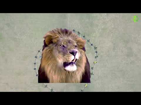 WELCOME TO DN10 FOOTBALL ACADEMY