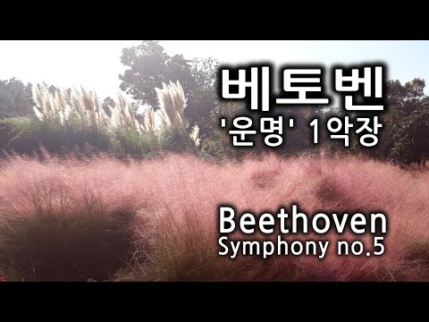🎵베토벤 교향곡5번 운명 1악장 1시간 연속듣기 ♬ Beethoven, Symphony No.5 #드라이브할때_듣는_음악 #산책할때_듣는_음악
