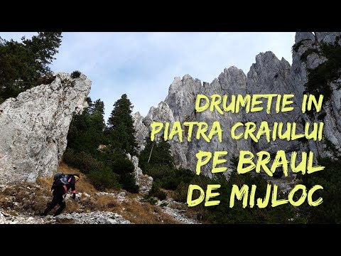Braul de Mijloc