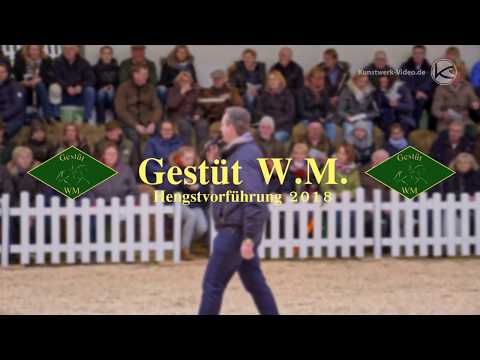 Hengstpräsentation 2018 - Gestüt W.M.