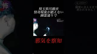 【⬇️本編はコチラ⬇️】恐怖を察知してしまい進めなくなった