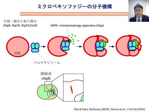 資源生物科学科 【研究室紹介動画】制御発酵学分野