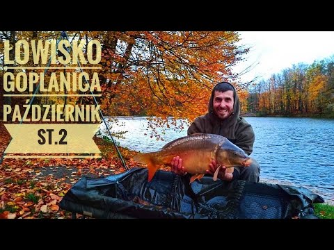 GOPLANICA JESIENNA ZASIADKA ST.2