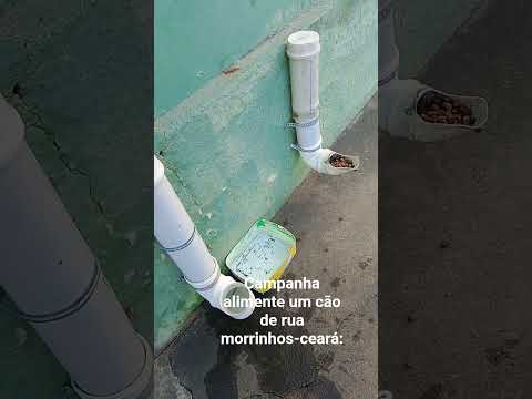 23 de julho de 2026