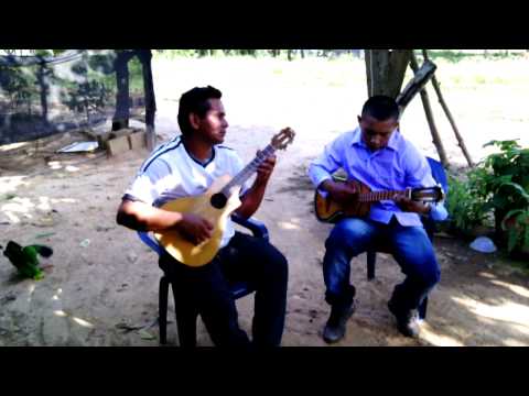 golpe de guacharaca. Nelson clavijo.