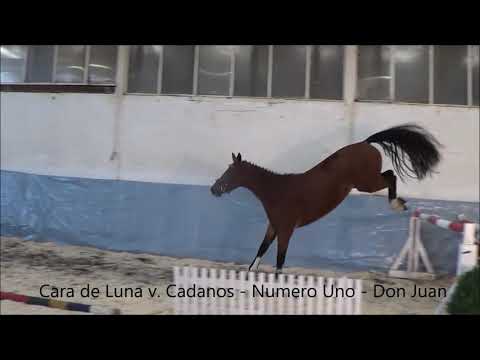 3 Cara de Luna v  Cadanos