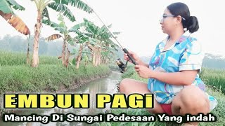 Download lagu Mancing pagi di pedesaan di temani embun pagi yang sejuk pemandangan yang indah mp3 Download lagu Mancing pagi di pedesaan di temani embun pagi yang sejuk pemandangan yang indah mp3
