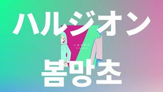 그날의 풍경을 가지러 돌아갈거야🌼: YOASOBI - 봄망초(ハルジオン, 하루지온) [가사/발음/한글 자막]