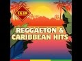 Reggaeton & Caribbean Hits by TETA