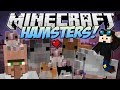 Minecraft | HAMSTERS! (The Great Hamster RACE ...