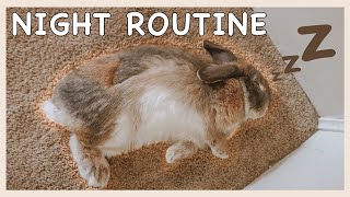 IN DEPTH Bunny Night Routine