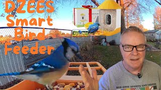 Dzees Smart Bird Feeder with Video Camera Unbox, Assembly, REVIEW