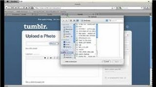 Tumblr Tips : How to Display Photos on a Tumblr Dashboard