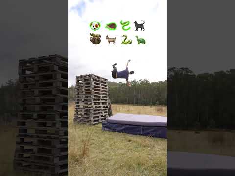 How different animals take fall damage.