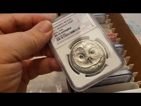 NGC & PMG Submissions Reveal  (October  2022)