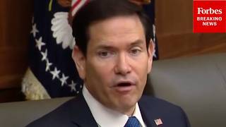 'I Don't Consider Neo-Nazis Right-Wing, I Consider Them Nazis': Marco Rubio