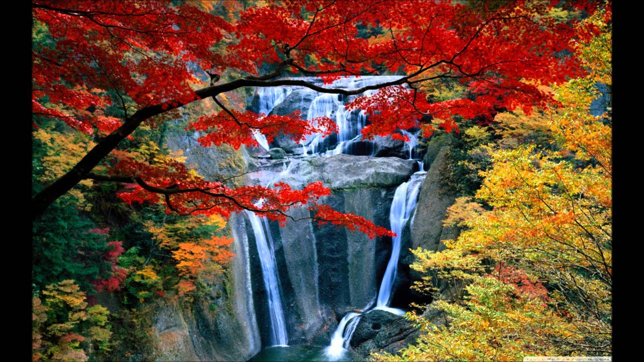 Kaale Kaale Baadal Lyrics | Anjaane | Suresh Wadkar, Sadhna Sargam | Rajesh Roshan