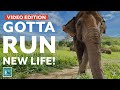 GlobalRumblings Podcast - Video Edition, Episode 47, Gotta Run New Life
