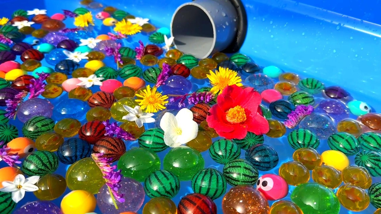 Water Marble Run ☆ Dandelions and Super Balls