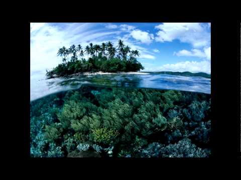 The Future Sound Of London - Papua New Guinea (High Contrast Mix)