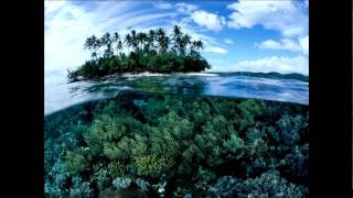 The Future Sound Of London - Papua New Guinea (High Contrast Mix)