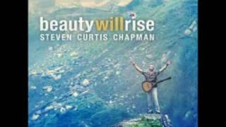 STEVEN CURTIS CHAPMAN - SEE