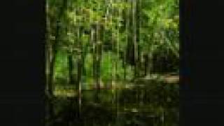 The Beauty of Nature