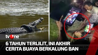 Download lagu Dramatis! Proses Evakuasi Buaya Berkalung Ban di Palu | Kabar Siang tvOne mp3 Download lagu Dramatis! Proses Evakuasi Buaya Berkalung Ban di Palu | Kabar Siang tvOne mp3