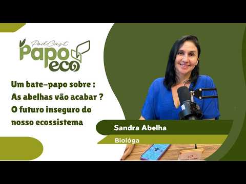 Abelhas podem desaparecer? Entenda o impacto na nossa comida | Papo Eco