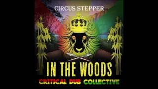 Critical Dub Collective - Circus Stepper
