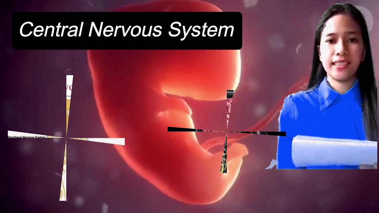 Ed 106 Foundation of Special and Inclusive Education