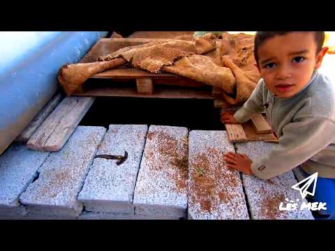 Vlog#7 Nieuwe gezichten, ervaringen en activiteiten!