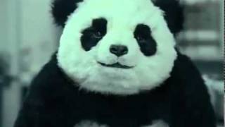 Панда  заставит полюбить сыр “Панда” - Видео онлайн