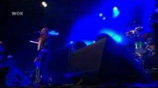 fruit fly nada surf high quality