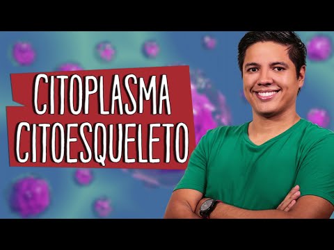 CYTOPLASM - ORGANELLES - Introduction and Cytoskeleton - Prof. Kennedy Ramos