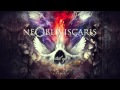 Ne Obliviscaris - As Icicles Fall (HD) 